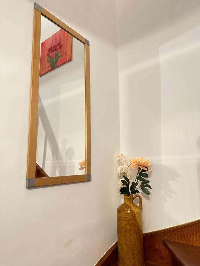 Green Paradise & Cozy Retreat Salzburg With Free Parking Buitenkant foto