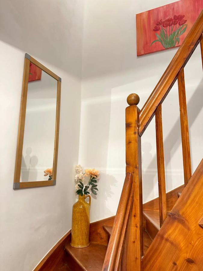 Green Paradise & Cozy Retreat Salzburg With Free Parking Buitenkant foto